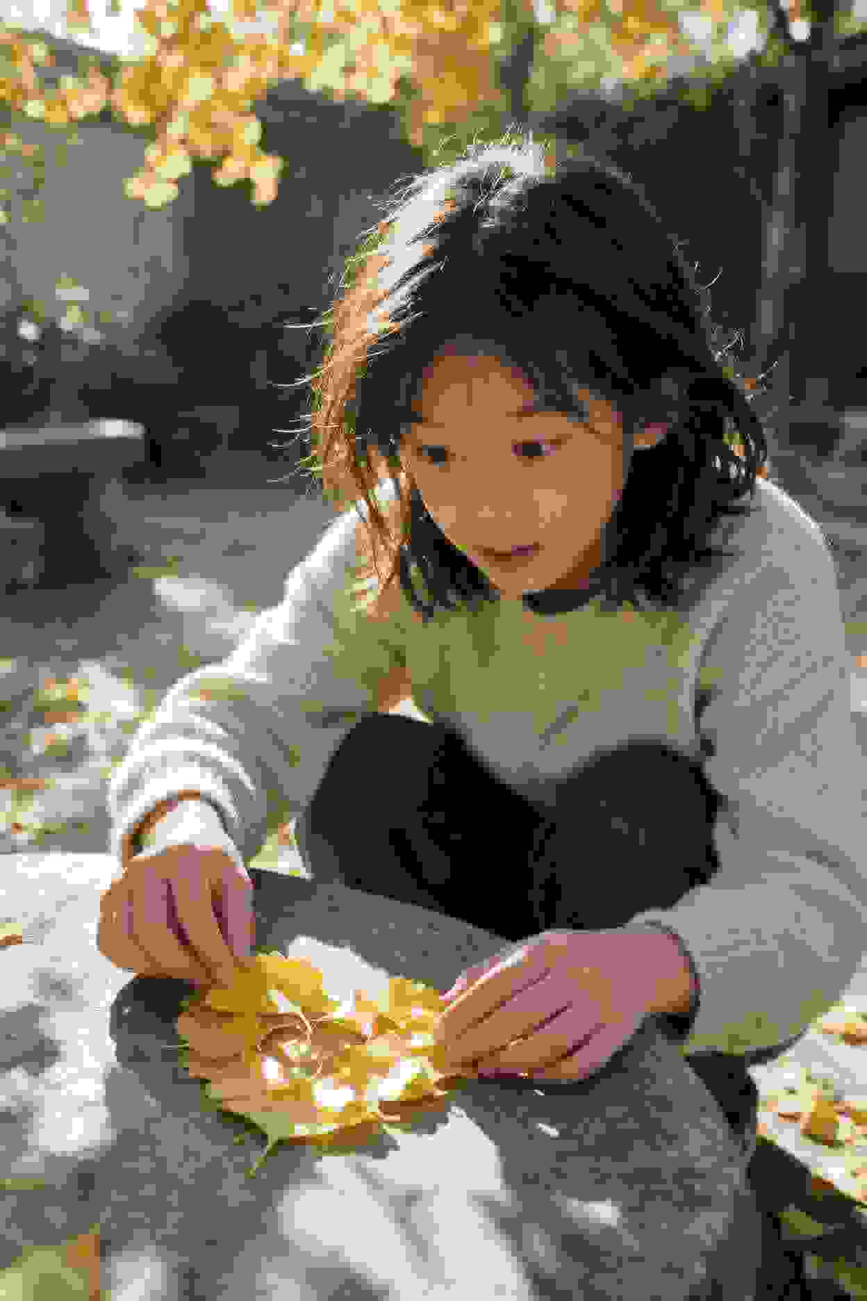 明月照山河